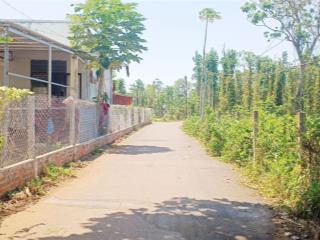 Bán đất 65 m mặt tiền khu dân cư cạnh trung tâm và đường nhựa lớn diện tích 1800 m2 giá chỉ 3,7 tỷ