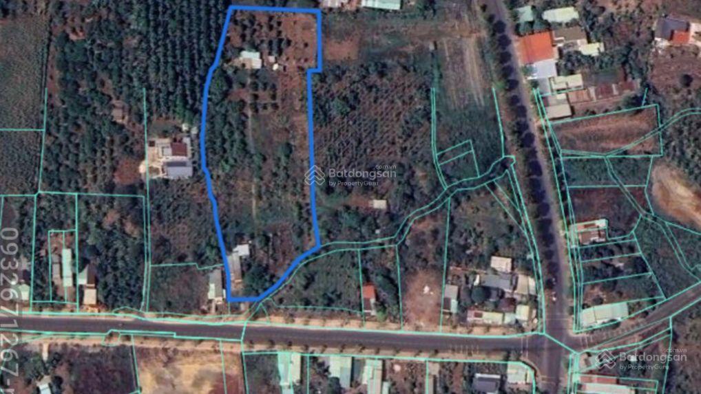Đất 2 mặt tiền đường nhựa tim vàng tại tân lâm, 4835m² mặt tiền vi vu, giá 3,3 tỷ siêu ngon