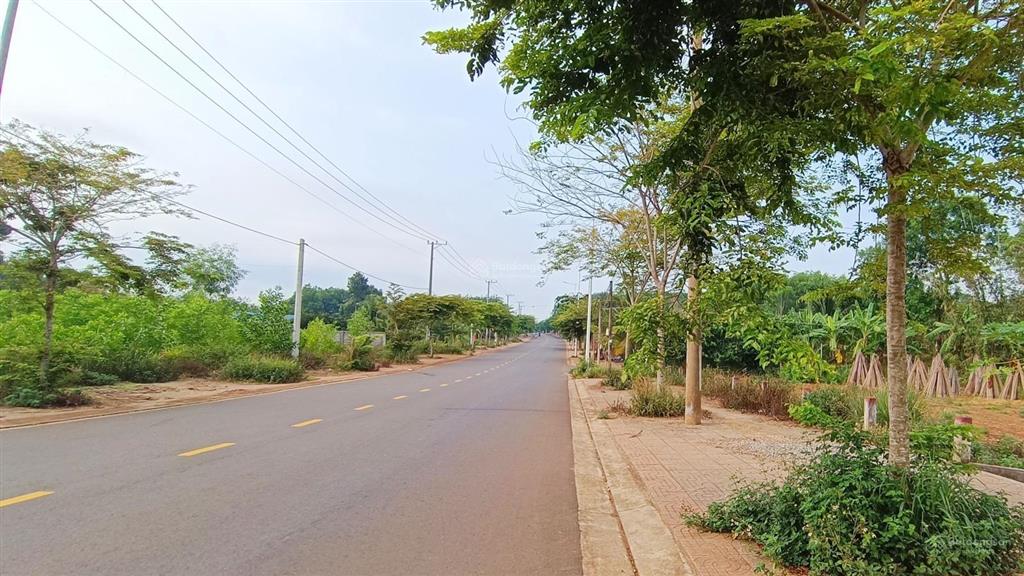 Đất 2 mặt tiền đường nhựa tim vàng tại tân lâm, 4835m² mặt tiền vi vu, giá 3,3 tỷ siêu ngon