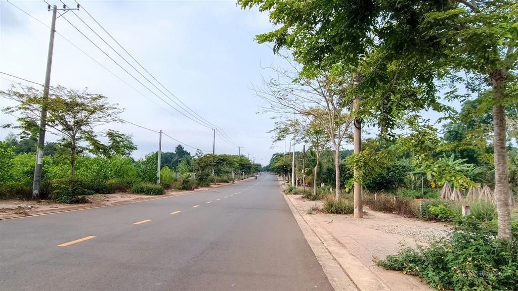 Đất 2 mặt tiền đường nhựa tim vàng tại tân lâm, 4835m² mặt tiền vi vu, giá 3,3 tỷ siêu ngon