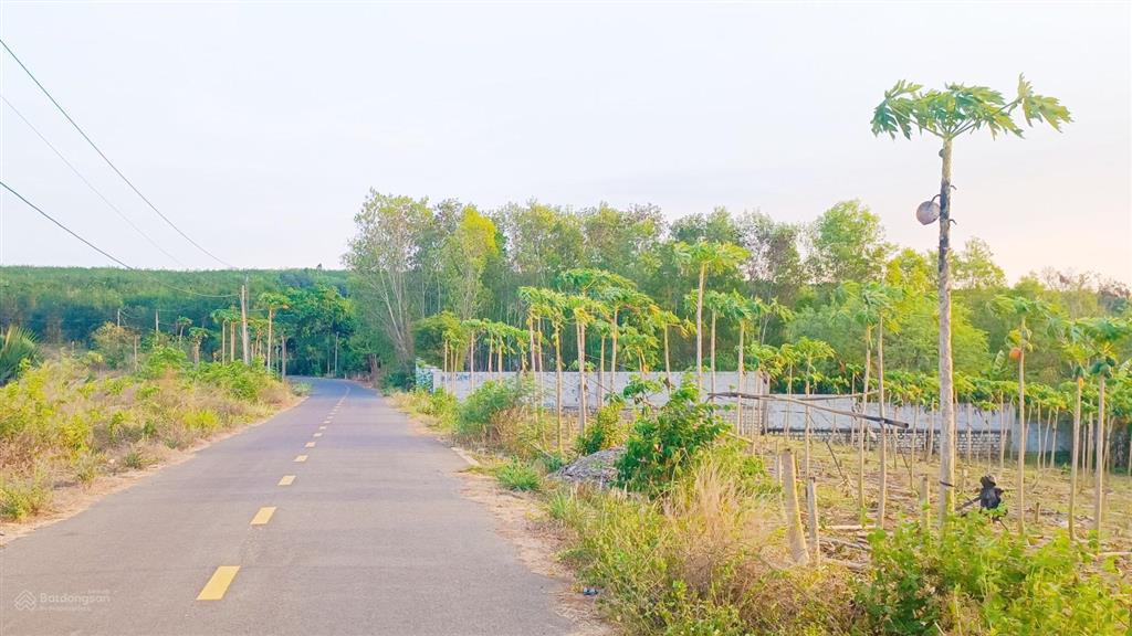 Bán gấp 3.797 m2 mặt tiền 64 m, giá 4,2 tỷ. khu hồ đá bàng long tân mặt tiền hướng đông phong thuỷ