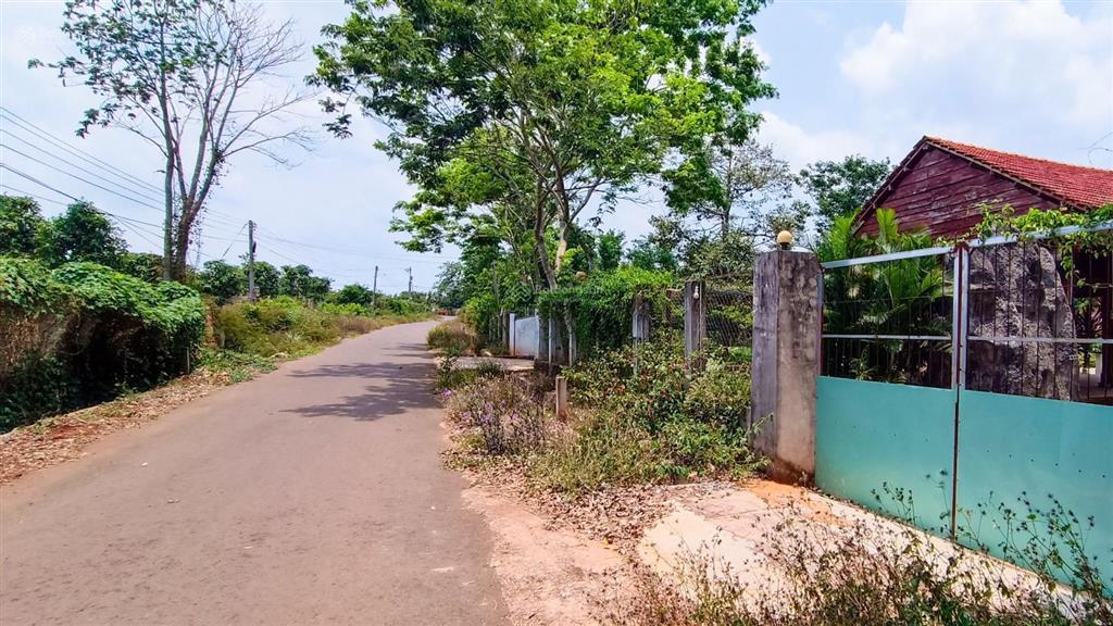 Nhà vườn 4000m2 giá 6,5 tỷ có 350m2 ont có nhà, vườn, nhà gỗ khu dân cư vị trí siêu đẹp giá trị cao