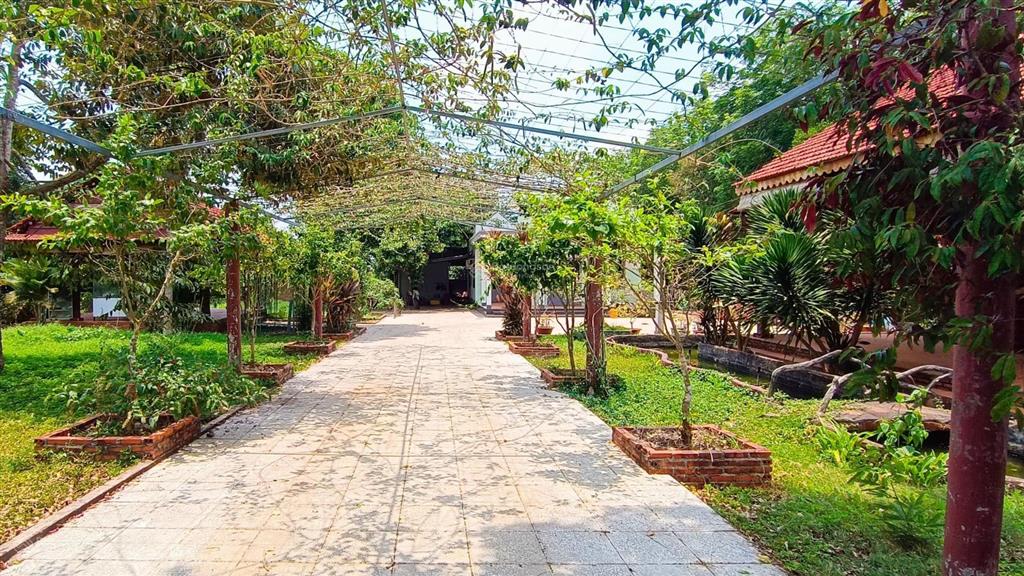 Nhà vườn 4000m2 giá 6,5 tỷ có 350m2 ont có nhà, vườn, nhà gỗ khu dân cư vị trí siêu đẹp giá trị cao