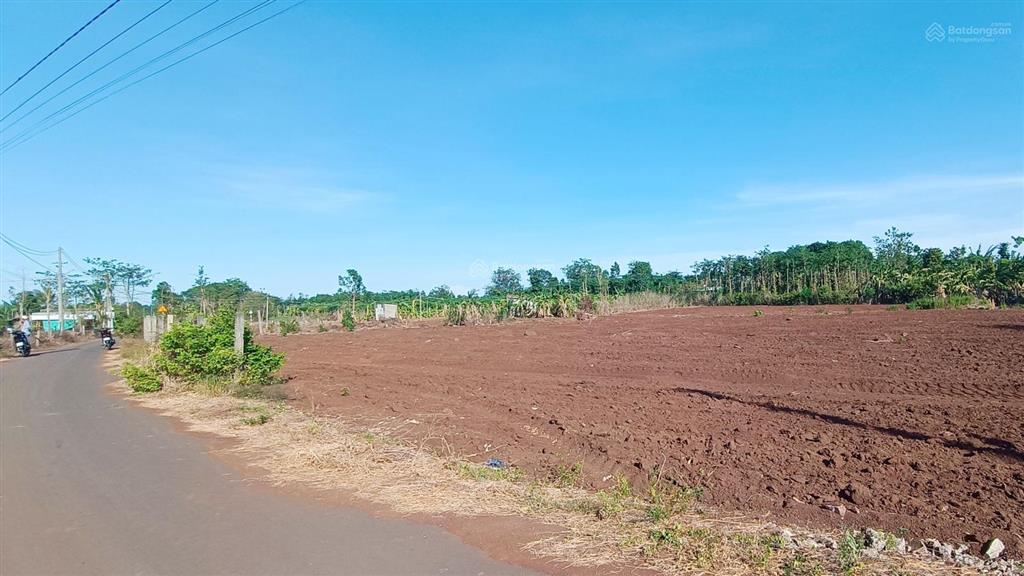 Bán 4800 m2 đất cho nhà đầu tư phân lô mặt tiền 87 m giá chỉ 5 tỷ siêu rẻ siêu lời thanh khoản cao