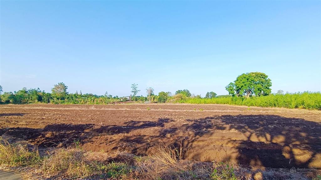 12 tỷ chốt siêu phẩm 10.340 m2 có 350 thổ cư trong khu dân cư đông đúc tạo cơ hôi đầu tư siêu tốt