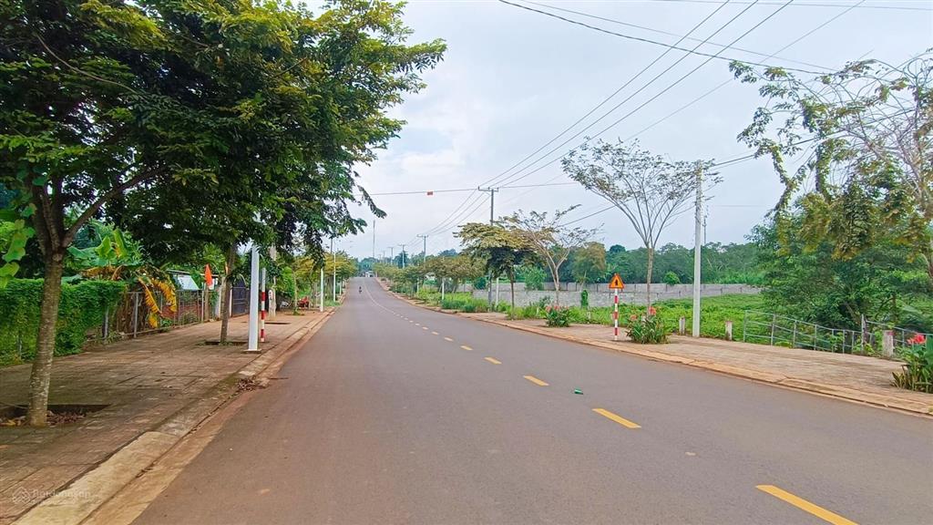 Đường liên xã có hành lang 3 tỷ siêu đẹp và giá trị cạnh cty meisheng, cty hạt tiêu ngon bổ rẻ
