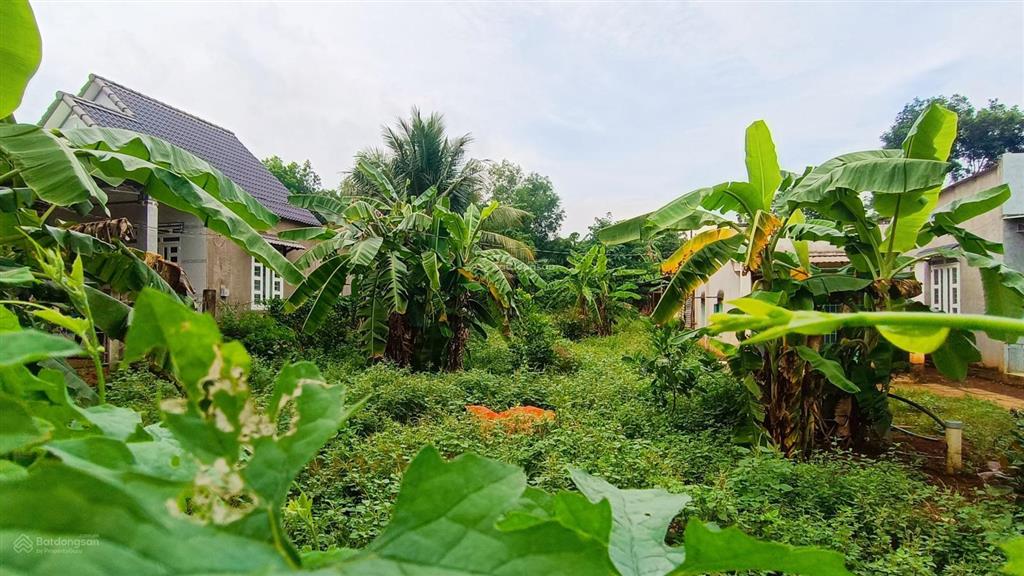 Đường liên xã có hành lang 3 tỷ siêu đẹp và giá trị cạnh cty meisheng, cty hạt tiêu ngon bổ rẻ