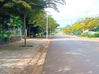 Đường liên xã có hành lang 3 tỷ siêu đẹp và giá trị cạnh cty meisheng, cty hạt tiêu ngon bổ rẻ