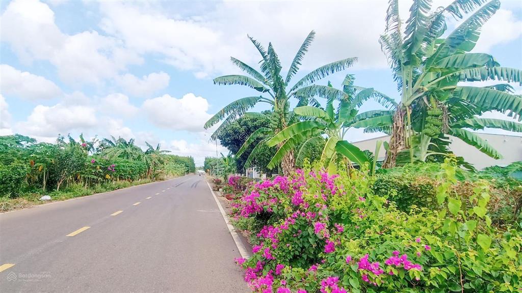 25 tỷ sở hữu 21.000 m2, 100m tc đường rộng mênh mông thích hợp đầu tư, nhà vườn, phân lô, kho xưởng