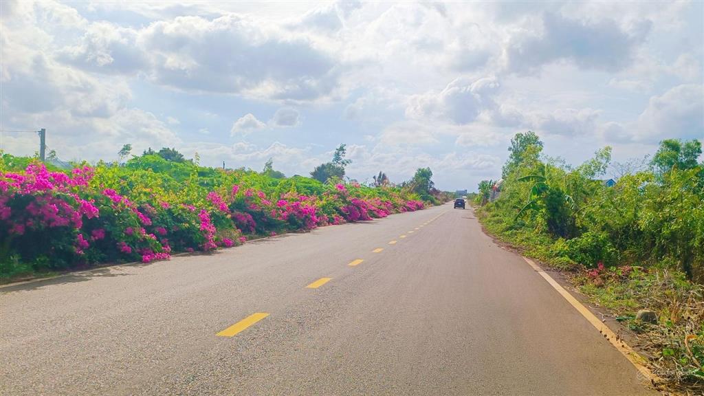 25 tỷ sở hữu 21.000 m2, 100m tc đường rộng mênh mông thích hợp đầu tư, nhà vườn, phân lô, kho xưởng
