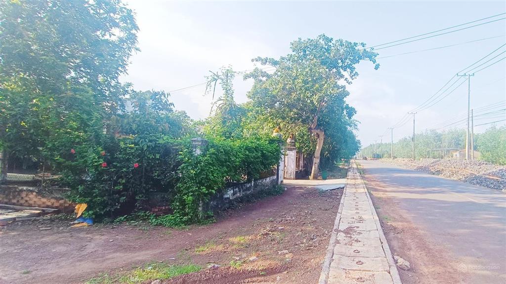 6475m2 (300m2 tc) tl329 xã hoà hiệp tp. hcm đất khu trung tâm, sổ riêng | 9,5 tỷ,  0375 159 ***
