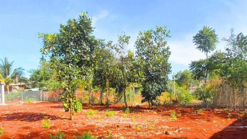 Nhà vườn 2,7 tỷ| 700 m2|120m2 tc tại ngãi giao nhà siêu đẹp dọn vào ở ngay & phía sau rộng rãi