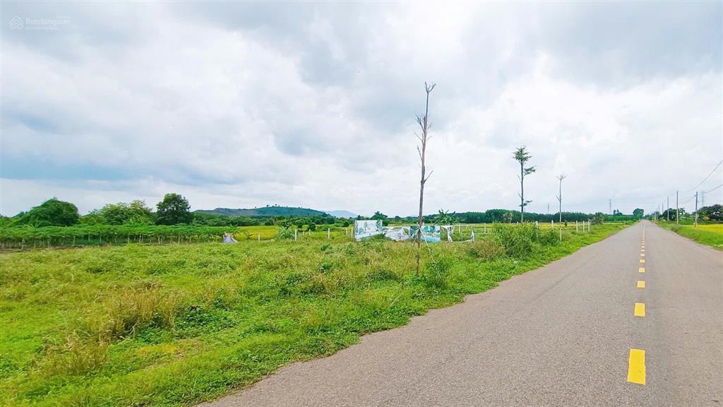 Đất nền 400 thổ cư đường 997 long tân, long đất brvt 4,5 tỷ | giá sỉ cho nhà đầu tư.