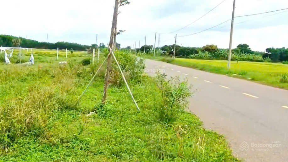 Đất nền 400 thổ cư đường 997 long tân, long đất brvt 4,5 tỷ | giá sỉ cho nhà đầu tư.