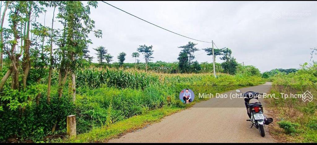 Cần bán 13.500 m2, 750 triệu/sào gần ngã 6, nút giao cao tốc long thành hồ tràm siêu ngon bổ rẻ