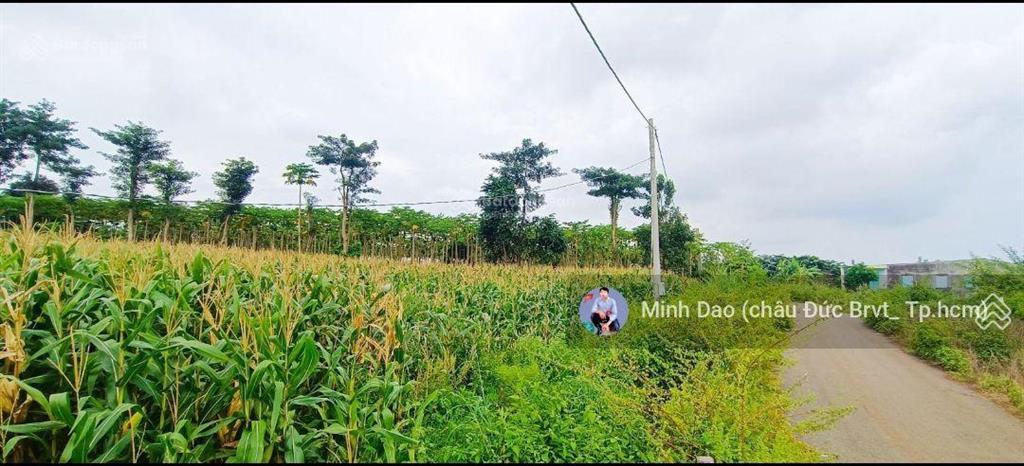 Cần bán 13.500 m2, 750 triệu/sào gần ngã 6, nút giao cao tốc long thành hồ tràm siêu ngon bổ rẻ