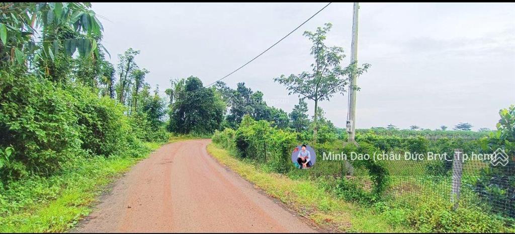 Cần bán 13.500 m2, 750 triệu/sào gần ngã 6, nút giao cao tốc long thành hồ tràm siêu ngon bổ rẻ