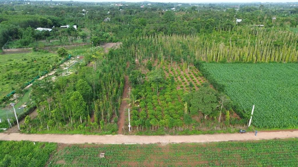3,3 tỷ có đất sào gần ql 56 cạnh trung tâm xã bàu chinh bà rịa vũng tàu siêu đẹp 44 m mặt tiền