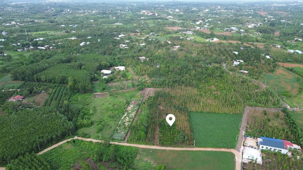 3,3 tỷ có đất sào gần ql 56 cạnh trung tâm xã bàu chinh bà rịa vũng tàu siêu đẹp 44 m mặt tiền
