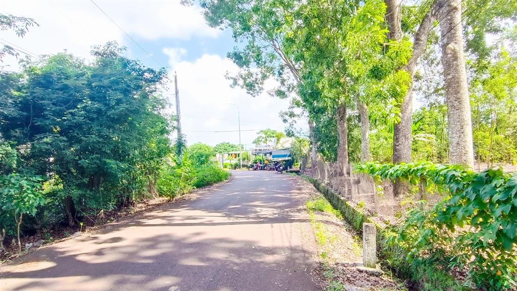 22747 m2 (gần 2,3 hecta) đất khu dân cư có 300m (ont) giá 1 triệu /m2 tại bà rịa vũng tàu