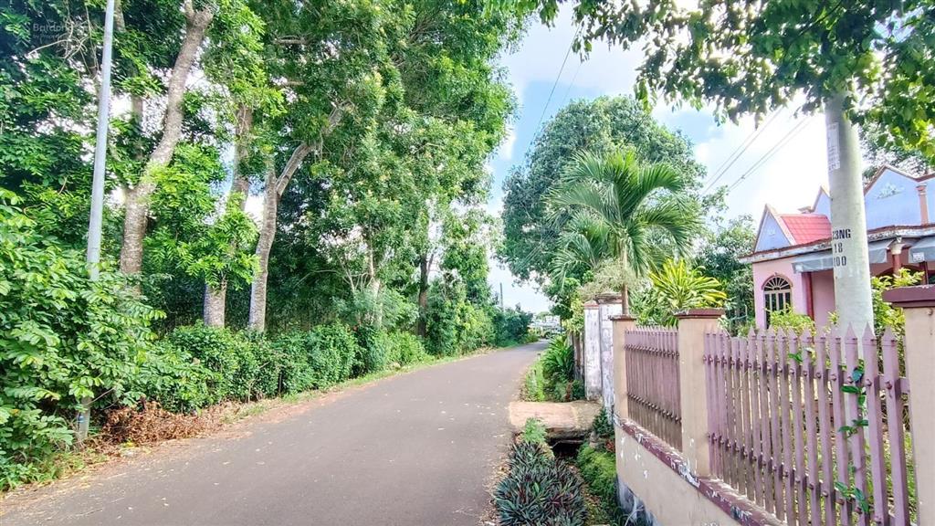 22747 m2 (gần 2,3 hecta) đất khu dân cư có 300m (ont) giá 1 triệu /m2 tại bà rịa vũng tàu