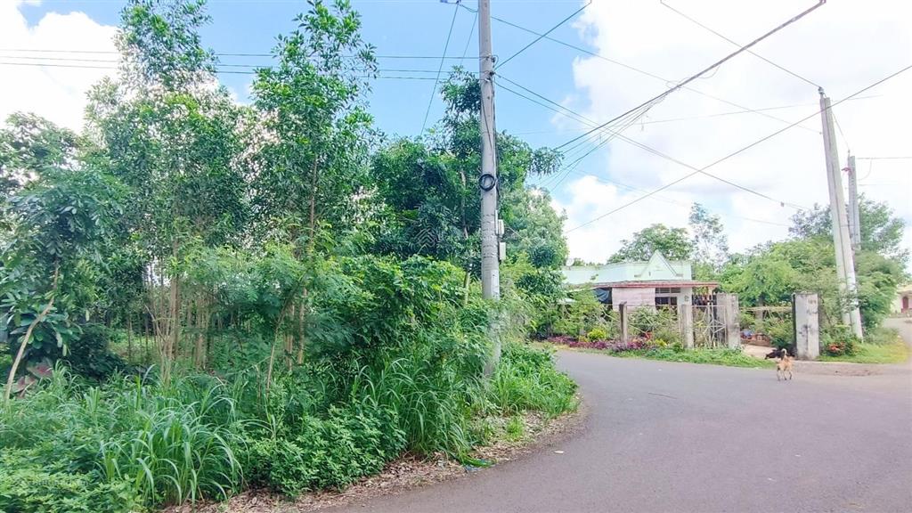 22747 m2 (gần 2,3 hecta) đất khu dân cư có 300m (ont) giá 1 triệu /m2 tại bà rịa vũng tàu