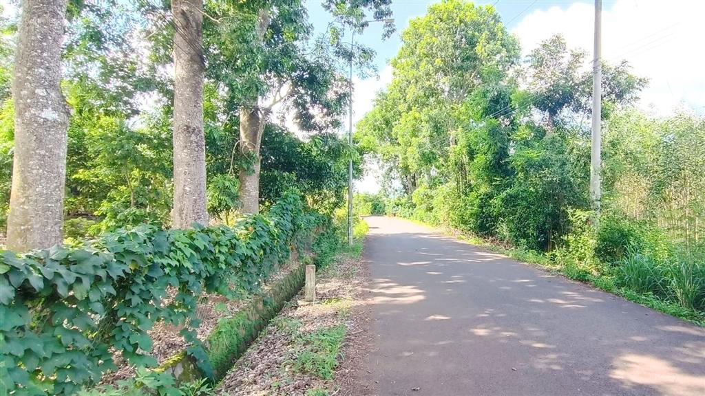 22747 m2 (gần 2,3 hecta) đất khu dân cư có 300m (ont) giá 1 triệu /m2 tại bà rịa vũng tàu