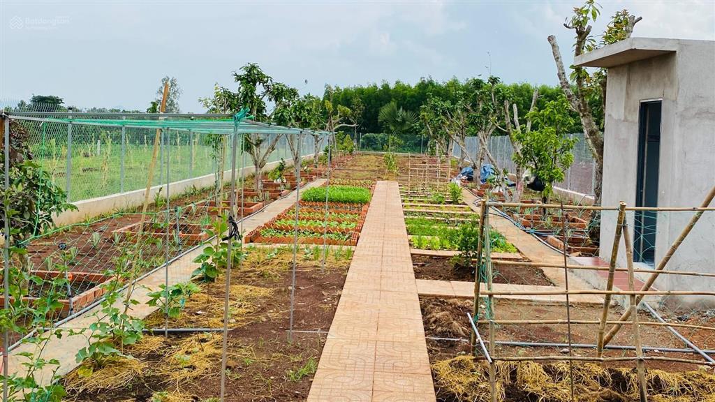 Bán đất khu dân cư 2,8 tỷ dt845.7 m2 (20 x 43100 ont) có thể xây nhà trọ, nhà nghỉ, làm nhà ở...
