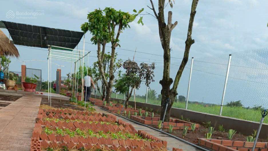 Bán đất khu dân cư 2,8 tỷ dt845.7 m2 (20 x 43100 ont) có thể xây nhà trọ, nhà nghỉ, làm nhà ở...