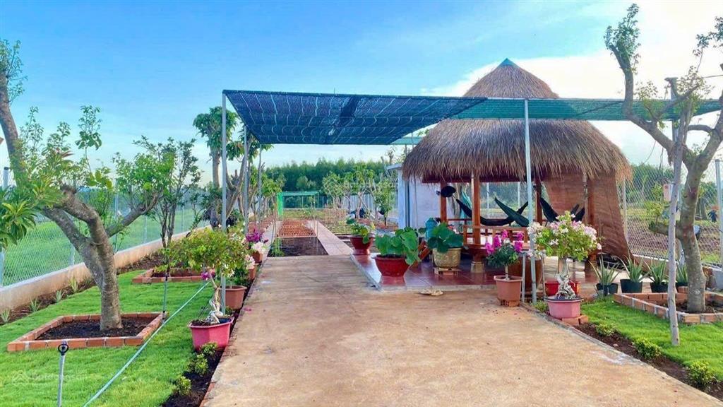 Bán đất khu dân cư 2,8 tỷ dt845.7 m2 (20 x 43100 ont) có thể xây nhà trọ, nhà nghỉ, làm nhà ở...