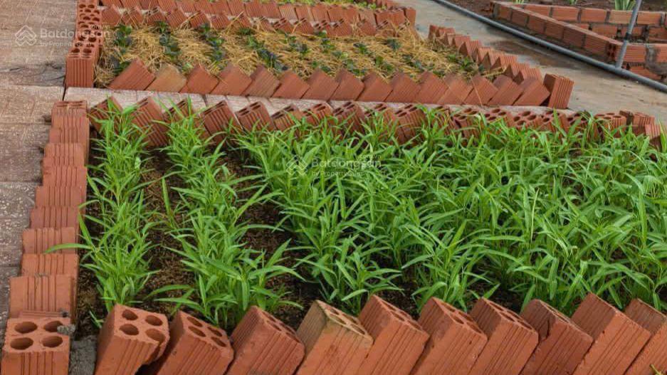 Bán đất khu dân cư 2,8 tỷ dt845.7 m2 (20 x 43100 ont) có thể xây nhà trọ, nhà nghỉ, làm nhà ở...