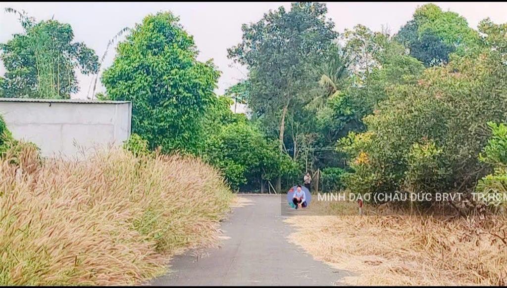 2400m2 mt 40 m |giá 1,6 tỷ đất xã hoà hiệp tp. hcm vị trí trong khu dân cư, cách tl329 khoảng 200 m