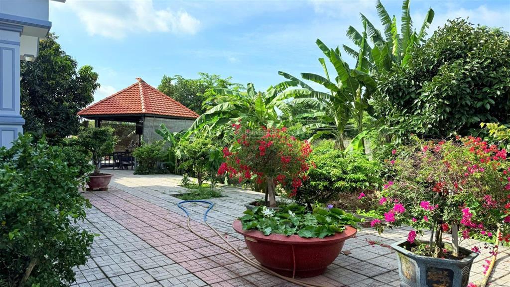 Long phước, siêu nhà vườn 12.5 tỷ cây ăn trái cây cảnh xung quanh nhìn mê ly vì quá đẹp và giá trị