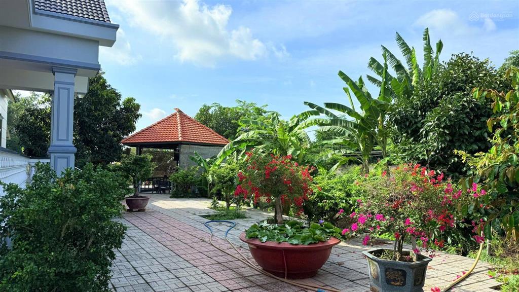 Long phước, siêu nhà vườn 12.5 tỷ cây ăn trái cây cảnh xung quanh nhìn mê ly vì quá đẹp và giá trị
