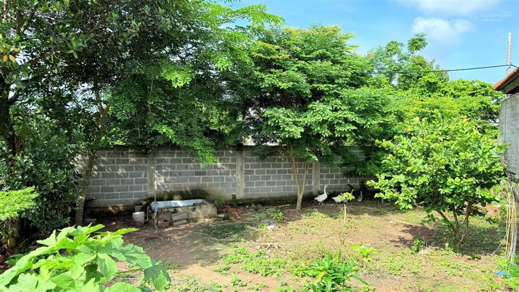 Long phước, siêu nhà vườn 12.5 tỷ cây ăn trái cây cảnh xung quanh nhìn mê ly vì quá đẹp và giá trị