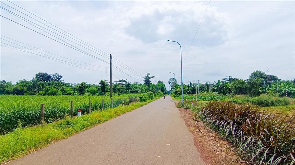 Bán đất vườn dt 4.138 m2 mặt tiền hướng đông 57 m vị trí khu dân cư rất dễ dàng đầu tư | giá 6,5 tỷ