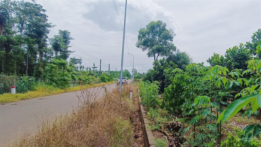 Bán đất vườn dt 4.138 m2 mặt tiền hướng đông 57 m vị trí khu dân cư rất dễ dàng đầu tư | giá 6,5 tỷ