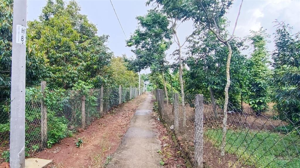 Nhà vườn 2 mặt tiền đường 188m dt 7700 m2 có 120 tc |giá 10 tỷ vị trí đẹp đường rộng rãi siêu vip