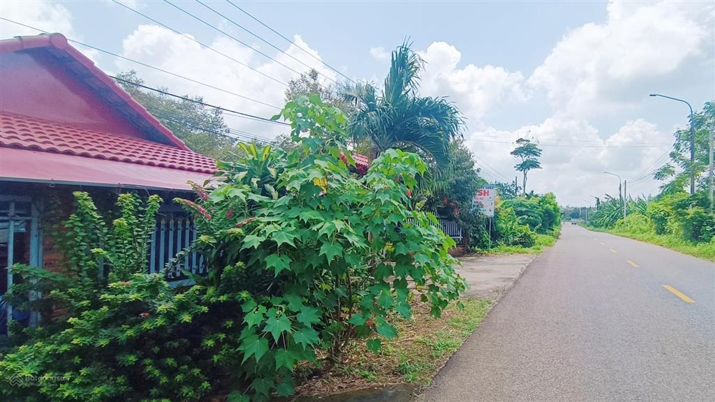 Nhà vườn 2 mặt tiền đường 188m dt 7700 m2 có 120 tc |giá 10 tỷ vị trí đẹp đường rộng rãi siêu vip