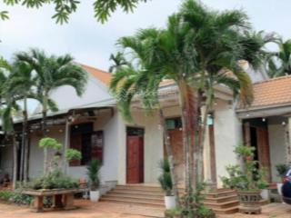 Siêu nhà vườn 12.552 m2 mt 120 m|giá 13,5 tỷ giá tốt tại bà rịa vũng tàu & đầy đủ cây ăn trái vip