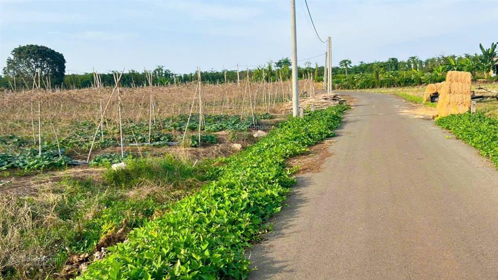 9000 m2 |giá 15,5 tỷ mặt tiền trước sau 173m đường 765 đá bạc cạnh nút giao cao tốc lt, ht siêu đẹp