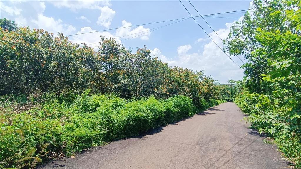4297 m2 & 2 mặt tiền 139m tại xã ngãi giao siêu đẹp |giá 8 tỷ đất đỏ bazan cạnh trung tâm siêu vip