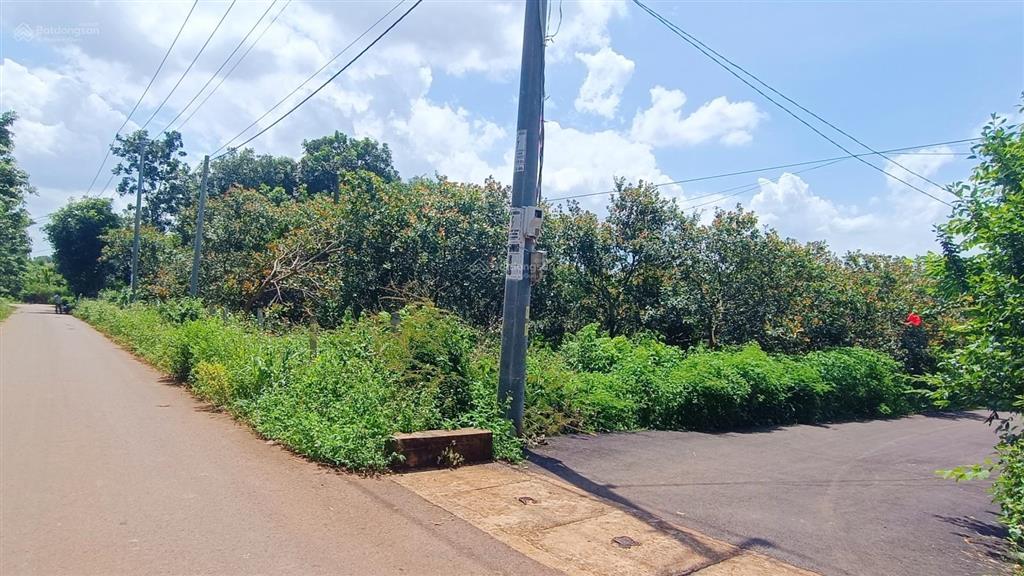 4297 m2 & 2 mặt tiền 139m tại xã ngãi giao siêu đẹp |giá 8 tỷ đất đỏ bazan cạnh trung tâm siêu vip