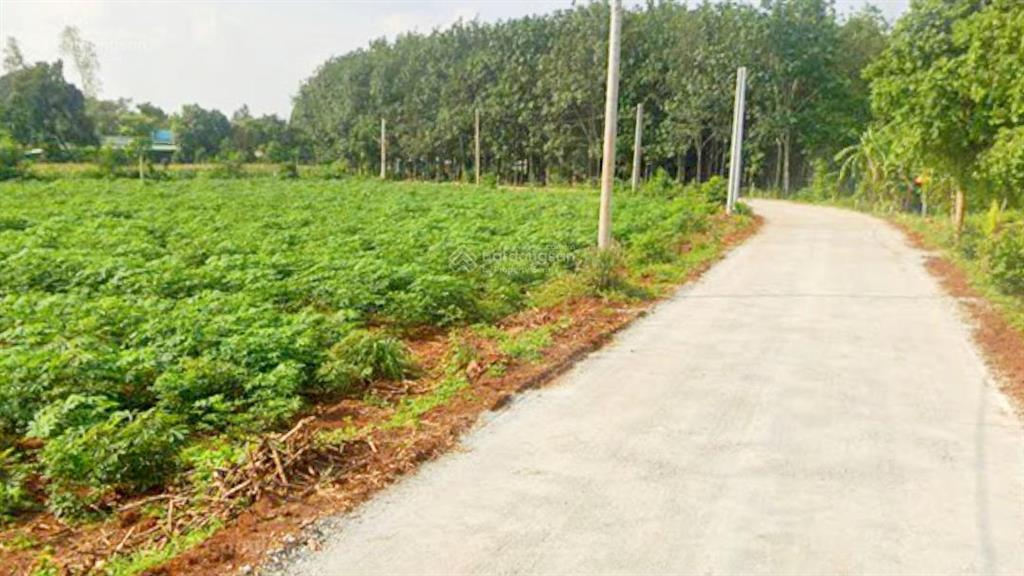 3300 m2 mặt tiền trước sau 67m giữa khu dân cư đất full hồng siêu đẹp | giá 3,6 tỷ