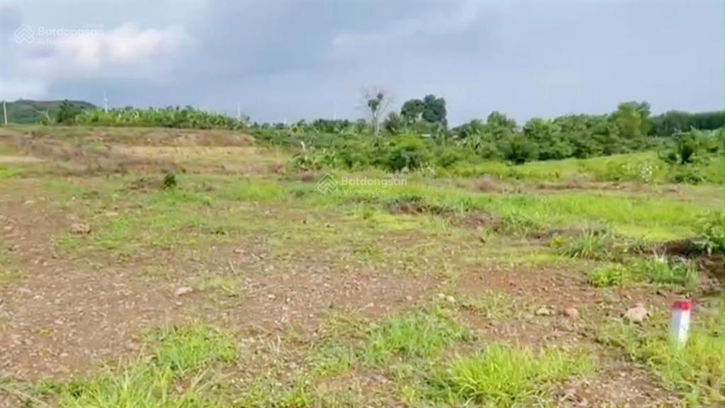 Bán 10.000 m2 (1000m2 tc) đường nhựa khu dân cư, giá 10,5 tỷ vị trí đẹp đầu tư cực kì hiệu quả