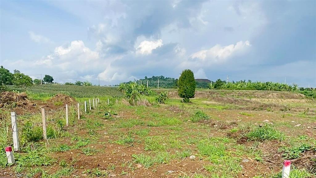Bán 10.000 m2 (1000m2 tc) đường nhựa khu dân cư, giá 10,5 tỷ vị trí đẹp đầu tư cực kì hiệu quả