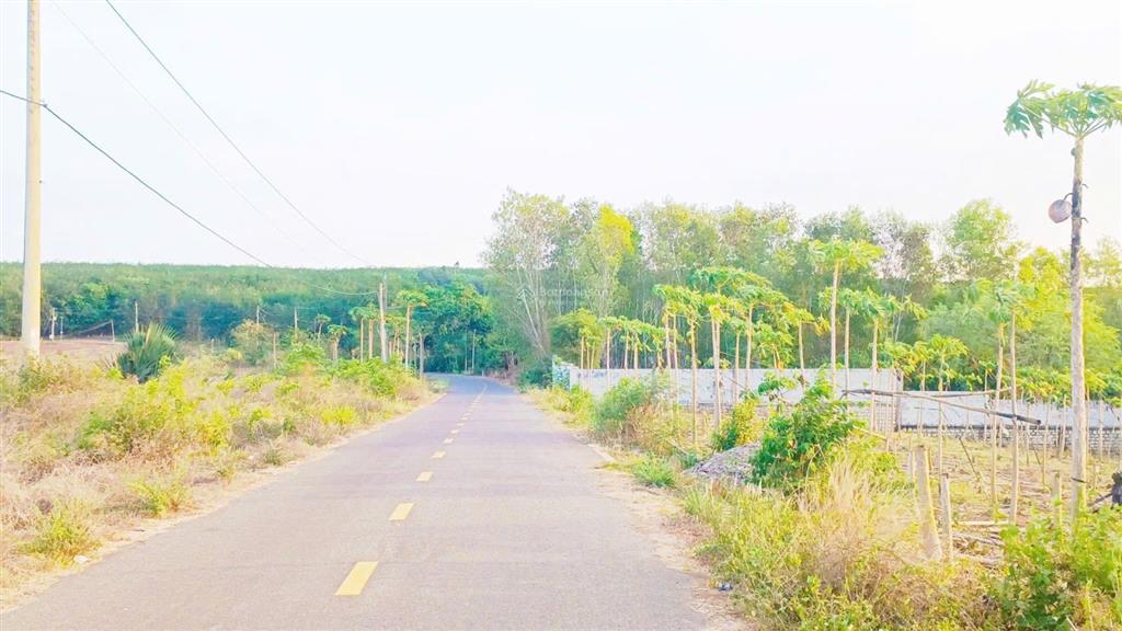 3797,7m2, mặt tiền 64m, giá 4,2 tỷ vị trí gần hồ đá bàng, cách tl52 chỉ 1 km đất đẹp & đầu tư tốt