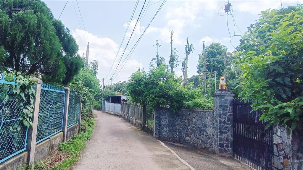 Bán 8,9 sào đất xã kim long tp. hồ chí minh mt 30 m đường bê tông, đang trồng cafe | giá 11 tỷ