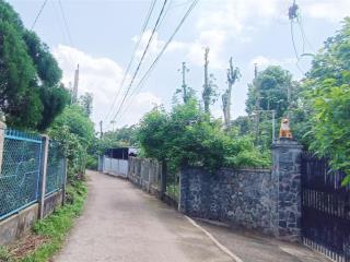 Bán 8,9 sào đất xã kim long tp. hồ chí minh mt 30 m đường bê tông, đang trồng cafe | giá 11,5 tỷ