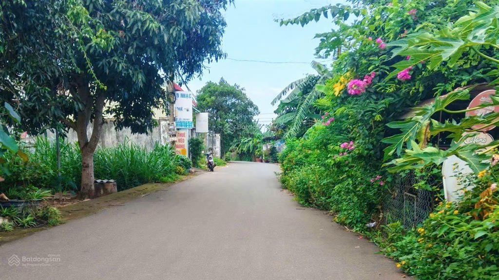 3089m2 (200m2 tc)|giá 5,5 tỷ sát ql 56 xã nghĩa thành có thể xây trọ, nhà nghỉ, kho bãi, nhà vườn